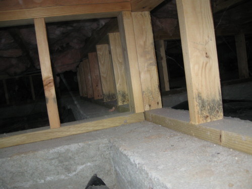 Microbial Contamination Found from Improper Crawl Space Ventilation
